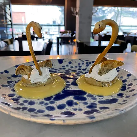 Confort Braseros Burgos