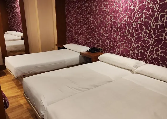 Confort Braseros Burgo