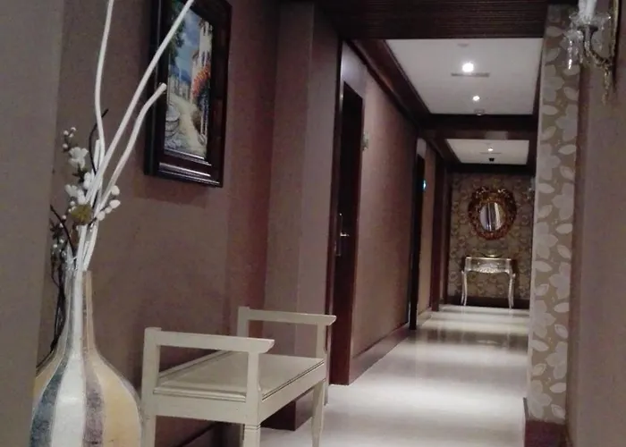 Confort Braseros Burgo